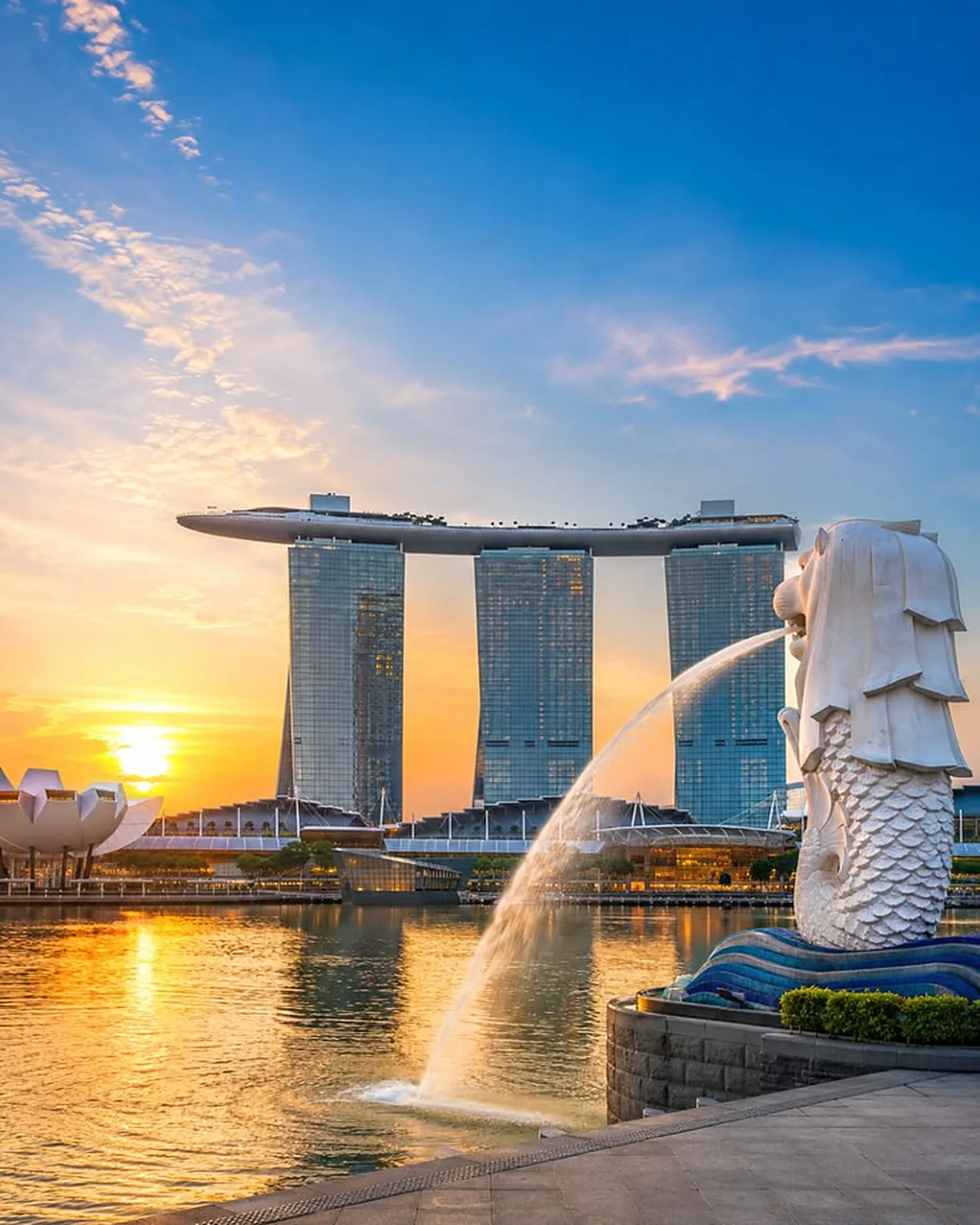 Singapore Medical Check-Up